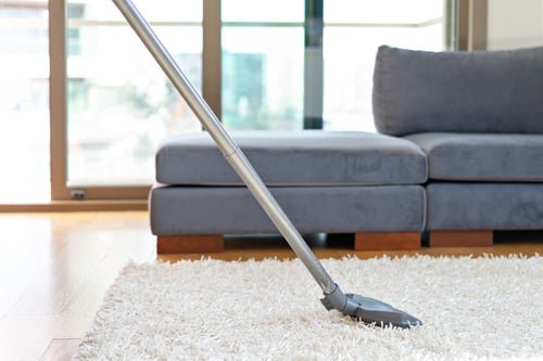 Vacuuming a light carpet in a bright modern living room